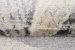 6a81d7ced49ab.webp