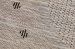 6831d78418653.webp