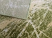 686421441eacb.webp
