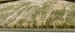 68642154b9fa0.webp