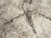 686a3c878478e.webp