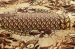 68ab5e7a0328f.webp
