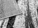 69f12844db426.webp