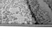 69f129b4b84ec.webp