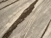 69fd0c55b1aba.webp