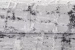 6a25446316b4e.webp
