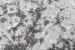 6a25ca80e0b13.webp