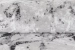6a25ce9021043.webp