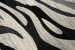 6a331cb0d6eb6.webp
