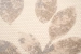6aa57236a96a7.webp