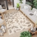 6aa57241243a8.webp