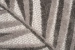 6aa57e0cc9c8f.webp