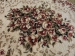 6ad118002943b.webp